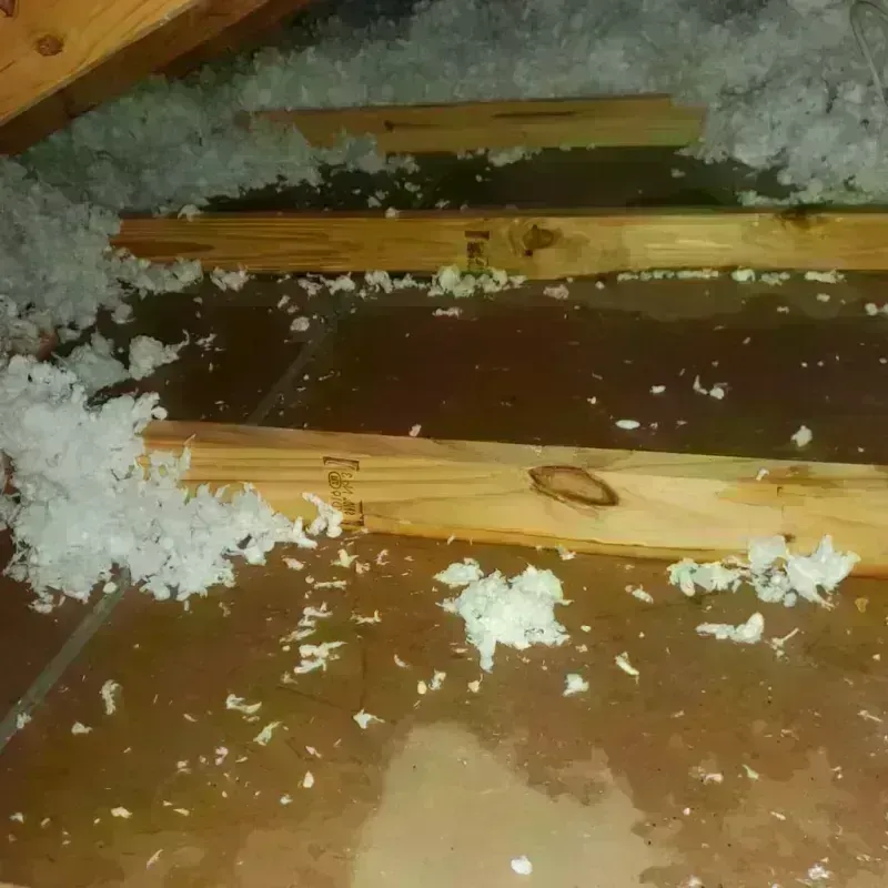 Attic Water Damage in Scottsville, KY